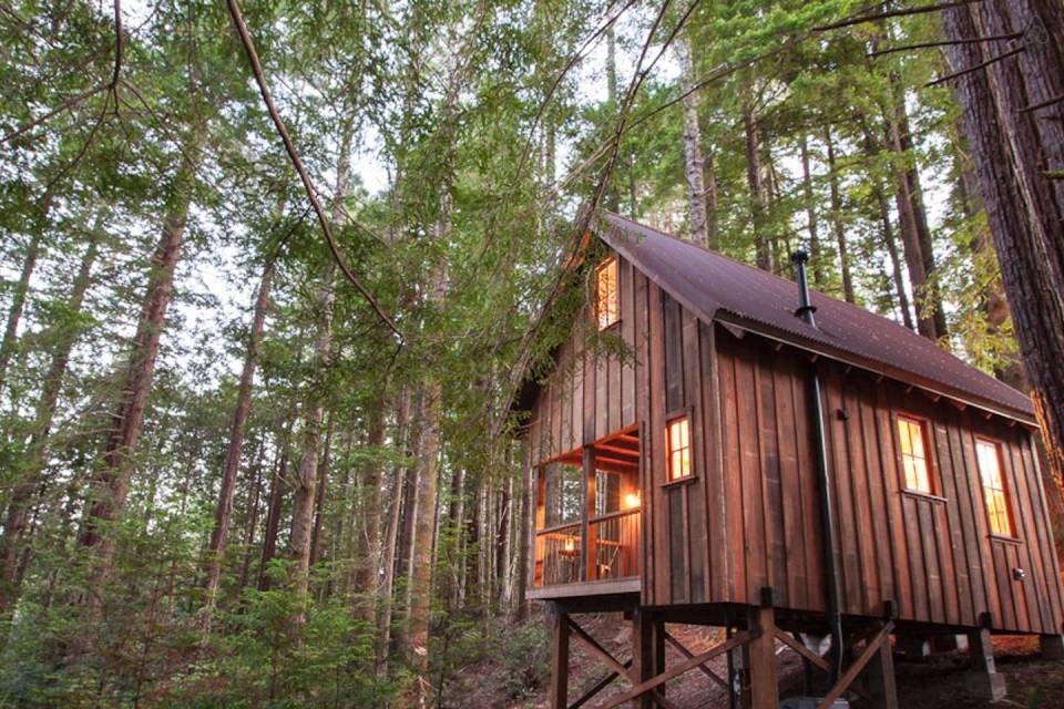Owl Tree Cabin