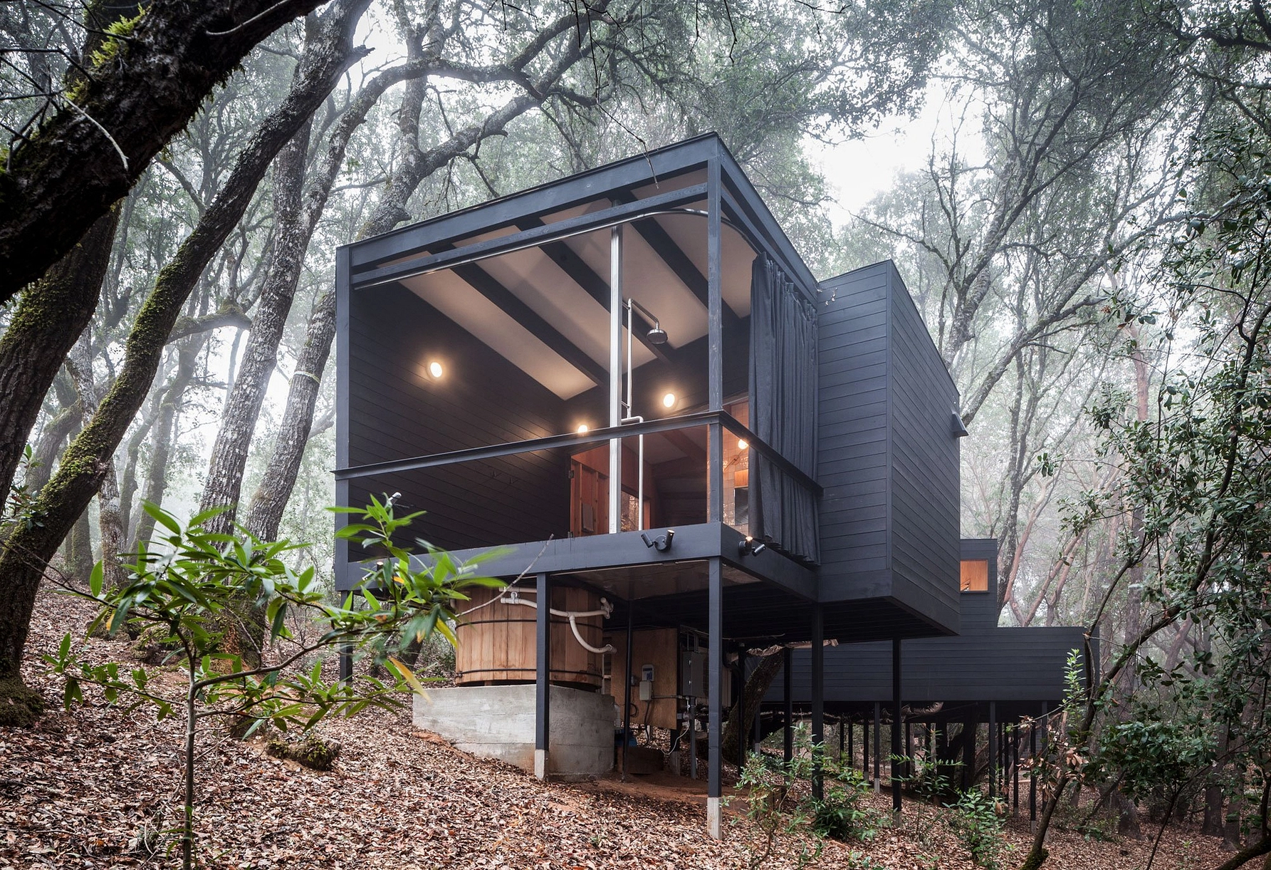 Nietypowy leśny dom w Kalifornii