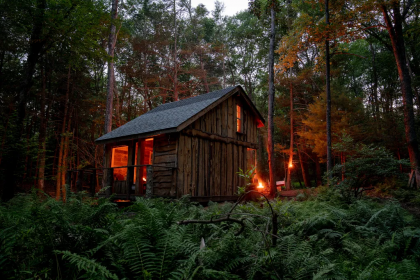 Eco-Cabin Clearing Farm