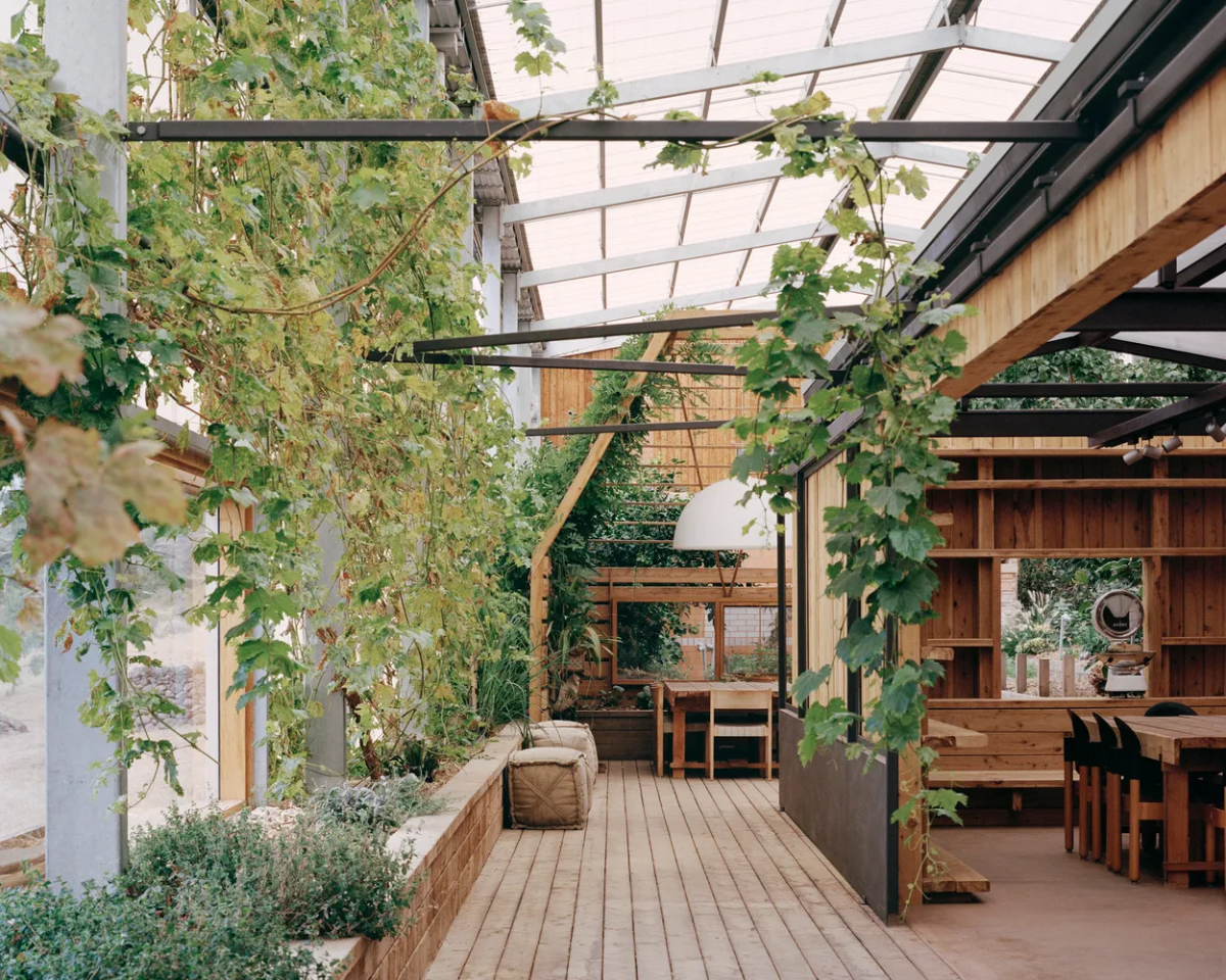 Patio z szklanym dachem i roślinami